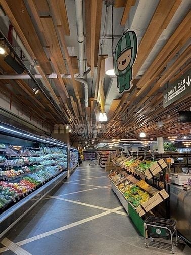 Cần Tuyển Gấp 3 Công Nhân Không Cần Kinh Nghiệm- Đi Làm Ngay