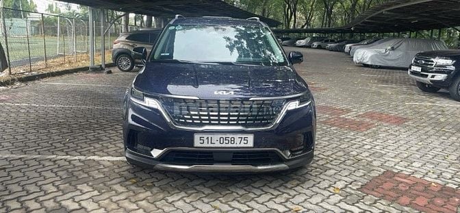 BÁN CARNIVAR như mới chưa lột tem.Xuất hóa đơn cty