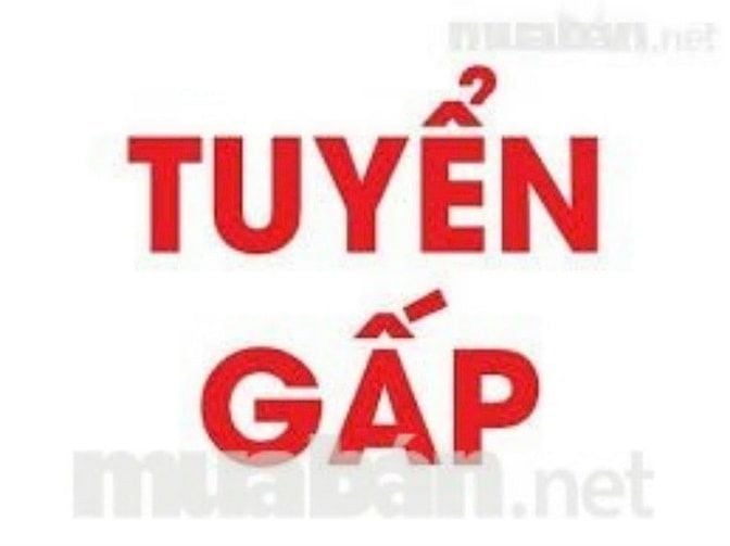 QUẬN BÌNH CHÁNH CẦN 3 KẾ TOÁN BÁN HÀNG.KẾ TOÁN THU NGÂN 