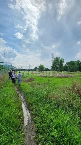 Công ty Đấu giá Hợp danh Sao Việt 