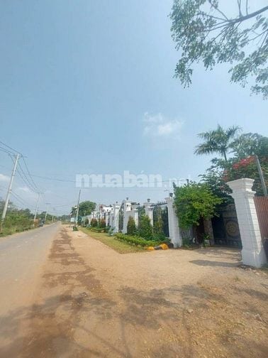 BÁN ĐẤT 1 XẸT ĐƯỜNG PHƯỚC BÌNH CHỈ 2,3 TỶ 125M2, SỔ RIÊNG, NGANG 5M DÀ