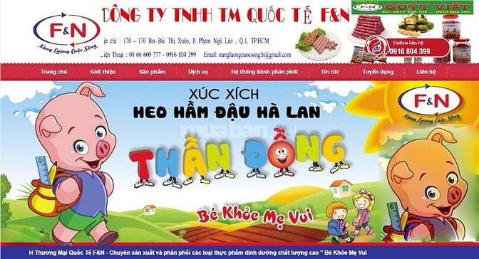  Tuyển Kế toán Tổng hợp, Kế toán Thanh toán, Kế Toán Thu Ngân