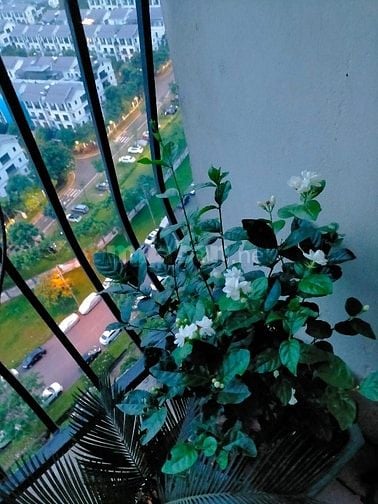 Bán nhà chung cư Gelaxia 885 Tam Trinh