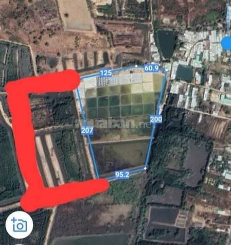 BÁN ĐẤT LỚN 6HA TẠI ĐƯỜNG  DUYÊN HẢI - LONG HÒA- CẦN GIỜ –450 tỷ