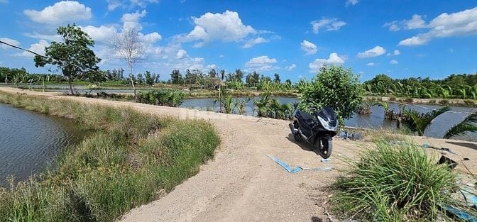 BÁN GẤP, HÀNG HIẾM 1.036,4m2 đất Bình Khánh dưới 1 tỷ trọn sổ, Cần Giờ