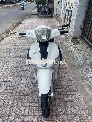 Bán libety ngoại hình đẹp, giấy tờ đầy đủ