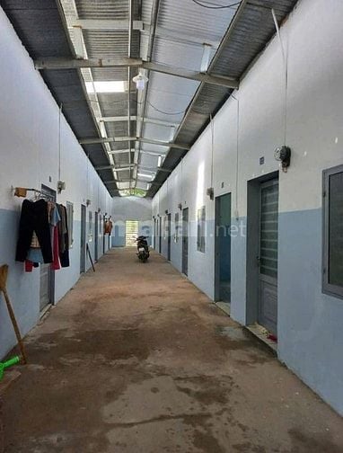 Dãy Trọ 12 Phòng Giá 780 Triệu Ở Trảng Bàng, Tây Ninh - Sổ hồng riêng