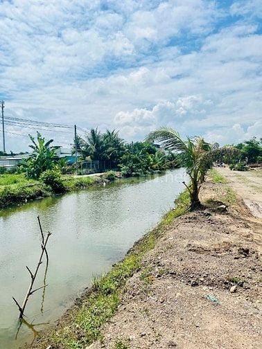 Chủ cần tiền bán nhanh lô đất 125m2 Sổ sẵn 1.5 tỷ ngay TT Đức Hòa