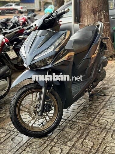 Vario 2024