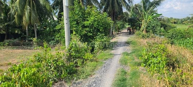 Bán đất thổ cư 26x60 xã Bình Lợi