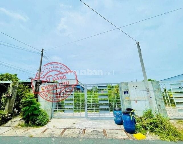 Cần bán gấp lô đất mt gần chợ Việt Kiều Tân Thông Hội Củ Chi 340m2 