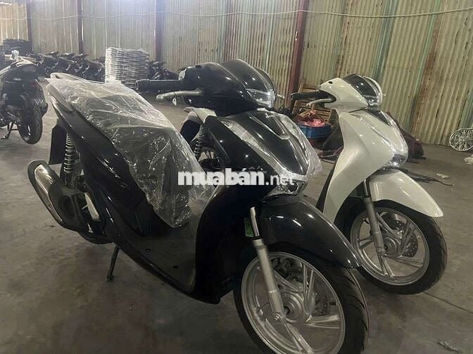 Bán xe SHi125 mới 100% chưa đăng ký