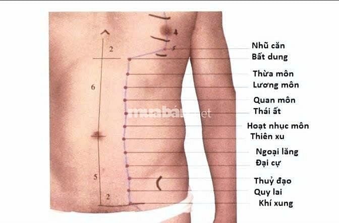  Massage- Huyệt trị liệu _ Lgam  rối loạn tâm sinh lý, thần kinh..