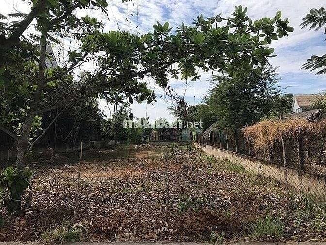 BÁN 2 LÔ ĐẤT LIỀN KỀ MT HÀ QUANG VÓC, BÌNH KHÁNH, CẦN GIỜ, 13,5TR/M2 7