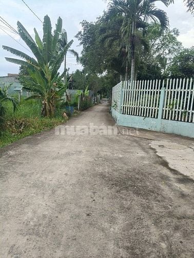Chính chủ bán đất vườn HXh Bùi Thanh Khiết, Bình Chánh