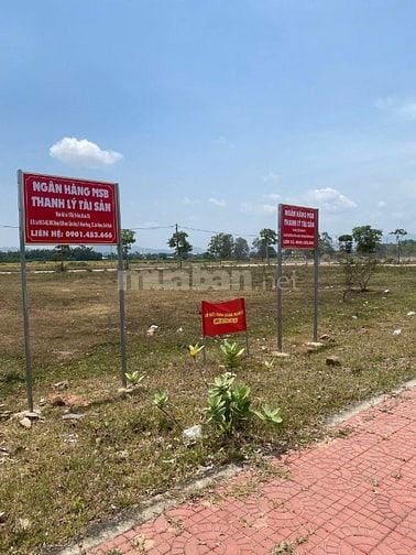 Công ty đấu giá hợp danh Sao Việt 