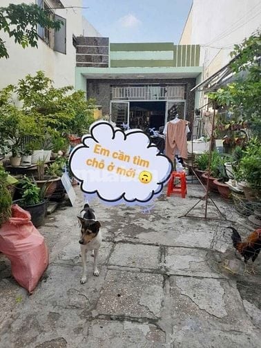 ✅Ngợp bank cần bán gấp Nhà Lý Đạo Thành. P16 , q8