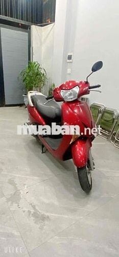 lead chống điện chính chủ