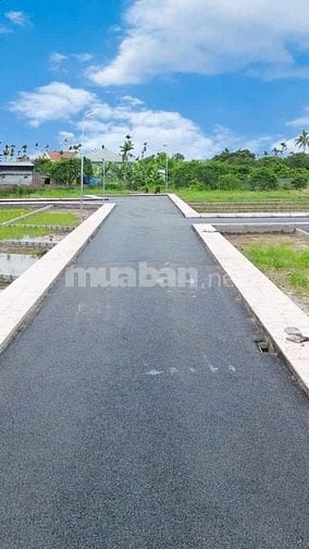 Bán 37 lô đất đẹp tại Bát Trang - An Lão - Hải Phòng. Cạnh sát KCN Trà