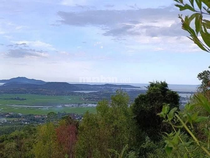 Sở hữu ngay 1200m² đất vườn cạnh suối  gần hồ Trị An, Đồng Nai