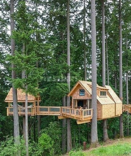 SIÊU PHẨM ĐẤT VƯỜN NGHỈ DƯỠNG GIÁ RẺ BẤT NGỜ CHỈ 900 TRIỆU/SÀO