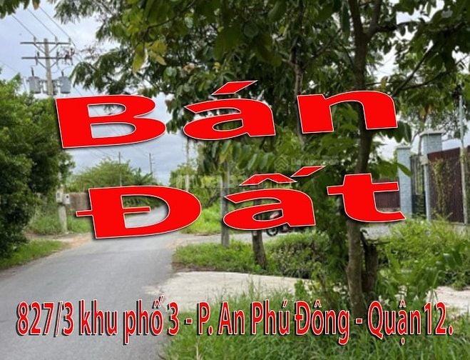 Cần Bán Đất : 827/3 khu phố 3, P. An Phú Đông, Quận12. - dt:397 m2
