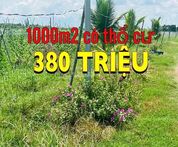 1000m2 có thổ cư 380tr, còn lại trả dần, chỉ có tại Long An
