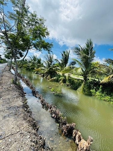 Chính chủ cần ra lô đất tại thị trấn Đức Hoà, Long An, 3 mặt tiền sông