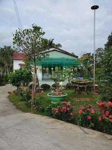 Chủ Định Cư Nước Ngoài Cần Bán Gấp Vườn 3.500m² Gần TP Long Khánh 