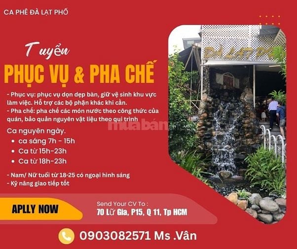 CA PHÊ ĐÀ LẠT PHỐ  Tuyển phục vụ pha chế 