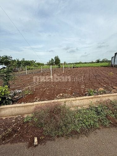 Bán Đất tại Xã Bình Trung, Châu Đức, Bà Rịa Vũng Tàu, 1,55tỷ, 147,8 m.