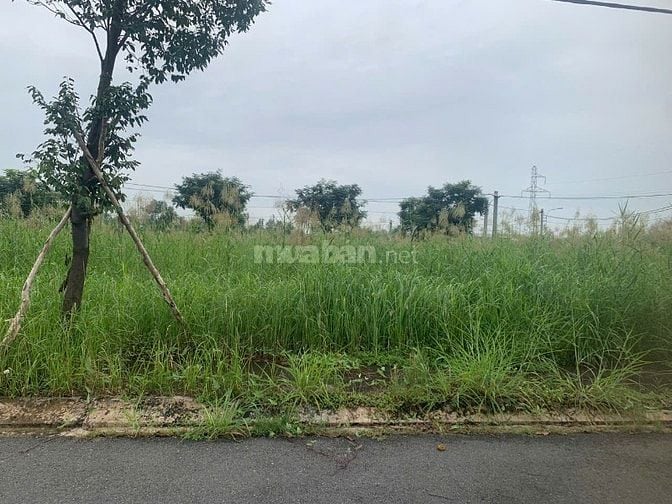 Chính chủ bán gấp nền Long Hậu Sài Gòn Village chỉ 2 ty2 SHR 80m2