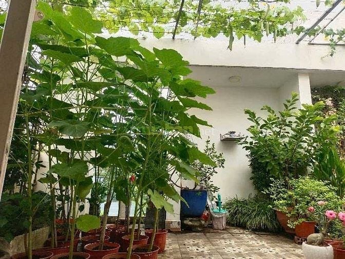 BÁN NHÀ HẺM XE TẢI – TRƯỜNG THỌ, THỦ ĐỨC