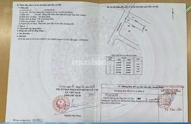CẦN TIỀN TRẢ NỢ BÁN GẤP ĐẤT 100m² TẶNG NHÀ NÁT Ở TÂN THÔNG HỘI, CỦ CHI