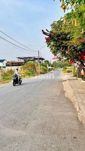 chính chủ bán đất thổ cư thị trấn 2 mặt tiền đường nhựa chợ việt kiều