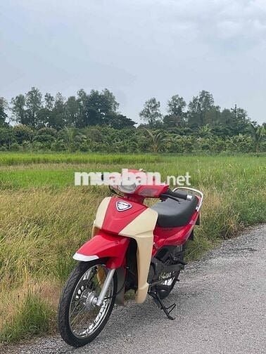 cần bán xipo full 120 6 số