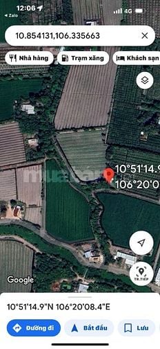 Gấp bán rẻ 1565m2 Thổ cư full ấp An Hòa, Bình Hòa Bắc, Đức Huệ, Long a