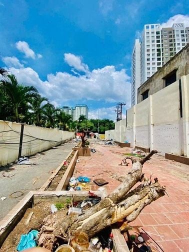 Bán MTKD 286B Hòa Bình, phường Hiệp Tân, dt 11x257m giá 230 tỷ