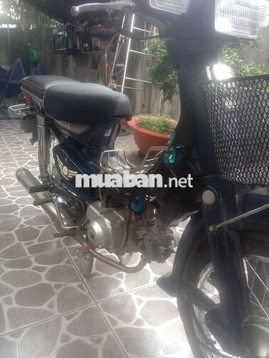 Xe cub 82 nhật