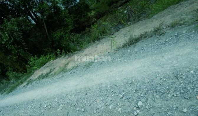 Chủ Bán lô đất Full thổ cư 536m2 Ấp Mỹ Lợi, xã Mỹ Thạnh Tây, Đức Huệ L