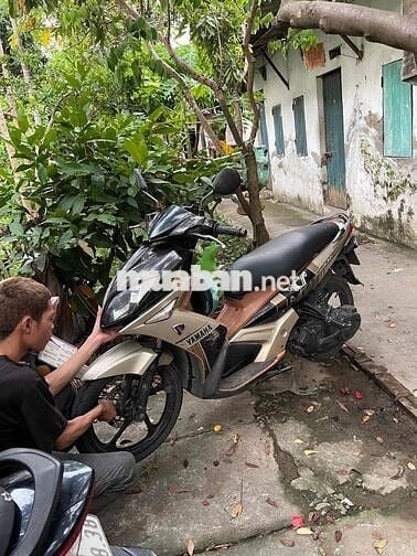 Bán nouvo full chức năng