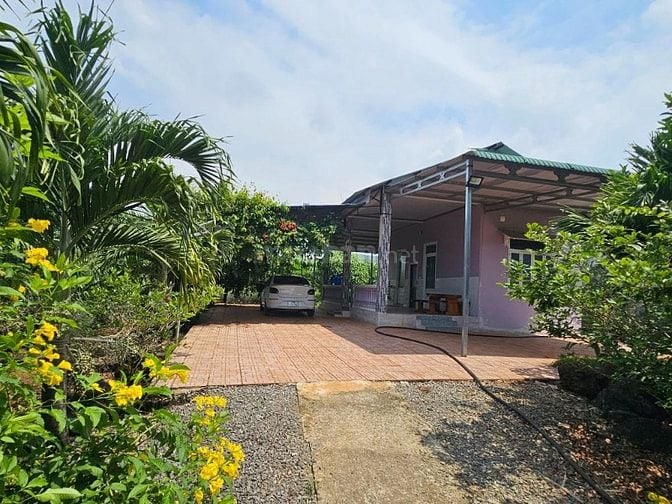 Chủ Định Cư Nước Ngoài Cần Bán Gấp Vườn 3.700m² Gần TP. Long Khánh