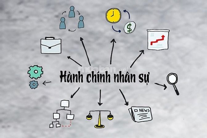 Tuyển Dụng 2 Bạn Hành Chính Nhân Sự - Lương Cơ Bản 9tr