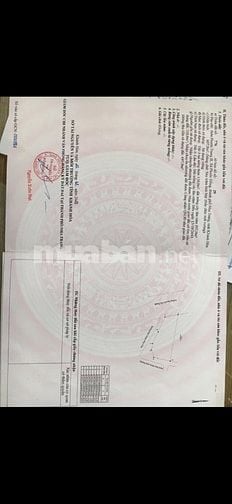 Sở hữu lô đất vị trí vàng ba mặt tiền đường Nguyễn Tất Thành Nha Trang