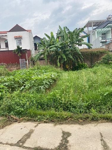 Chính chủ cần bán lô đất ở ninh môn