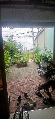 ✅⏩BÁN NHÀ SHR 132M CẤP4 1/TRẦN THỊ BỐC ,THỚI TỨ,THỚI TAM THÔN ,HÓC MÔN
