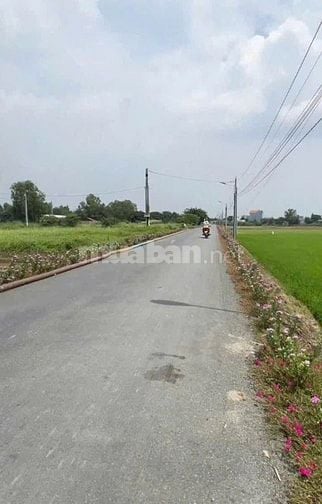 Bán 743m² đất đường T11, Tân Qúy Tây, Bình Chánh, HCM, 19x39m