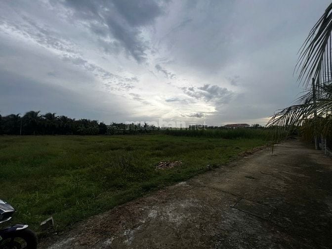 Đất nền đẹp gần BV ĐA KHOA TG - TÌM NĂNG NEN ĐẦU TƯ