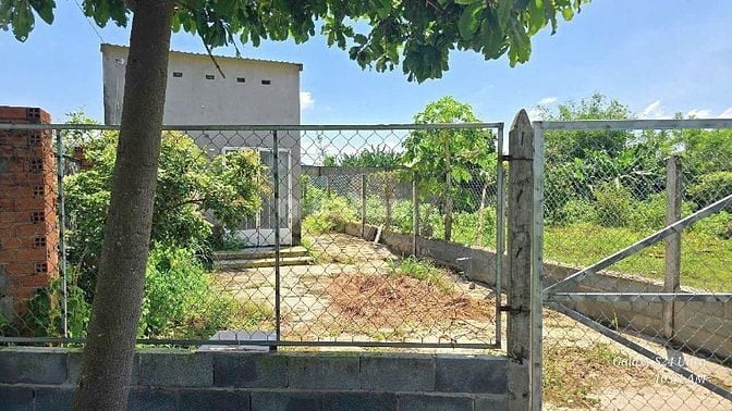 Đất thật giá thật không đăng nữa giá, SHR chỉ 1tỷ