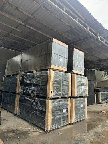 VÁN PHỦ PHIM 15MM – HOÀNG CHÂU PLYWOOD